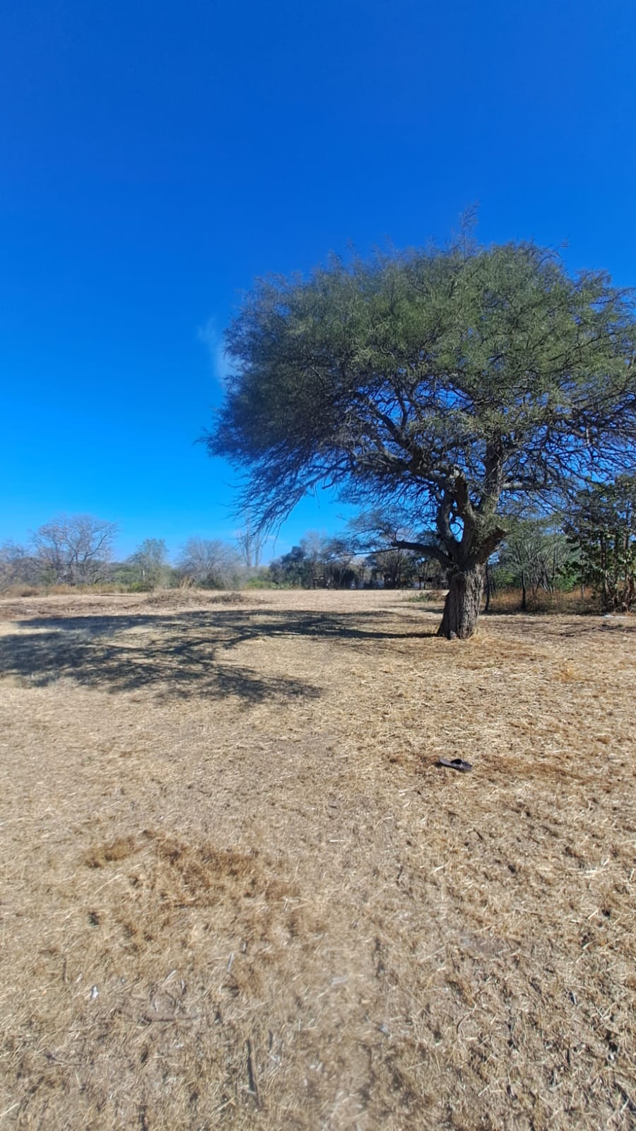 Dos lotes contiguos – Barrio Nuñez – Colonia Tirolesa