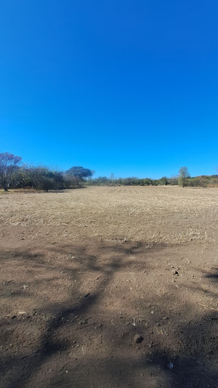 Dos lotes contiguos – Barrio Nuñez – Colonia Tirolesa