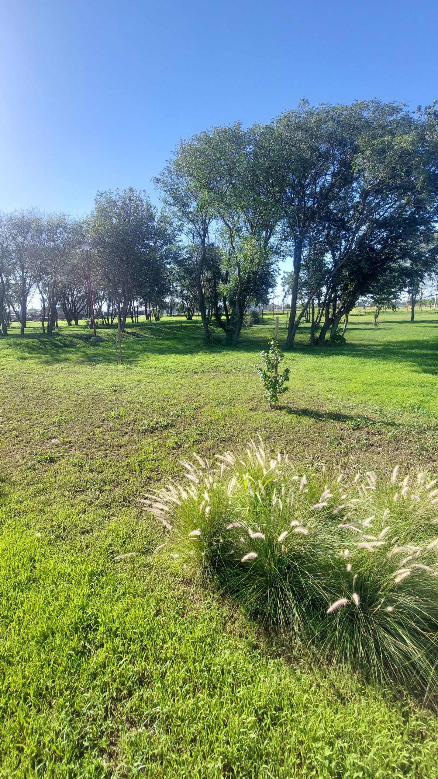 Exclusivo – Loteo – Campos de Lujan – Colonia Tirolesa