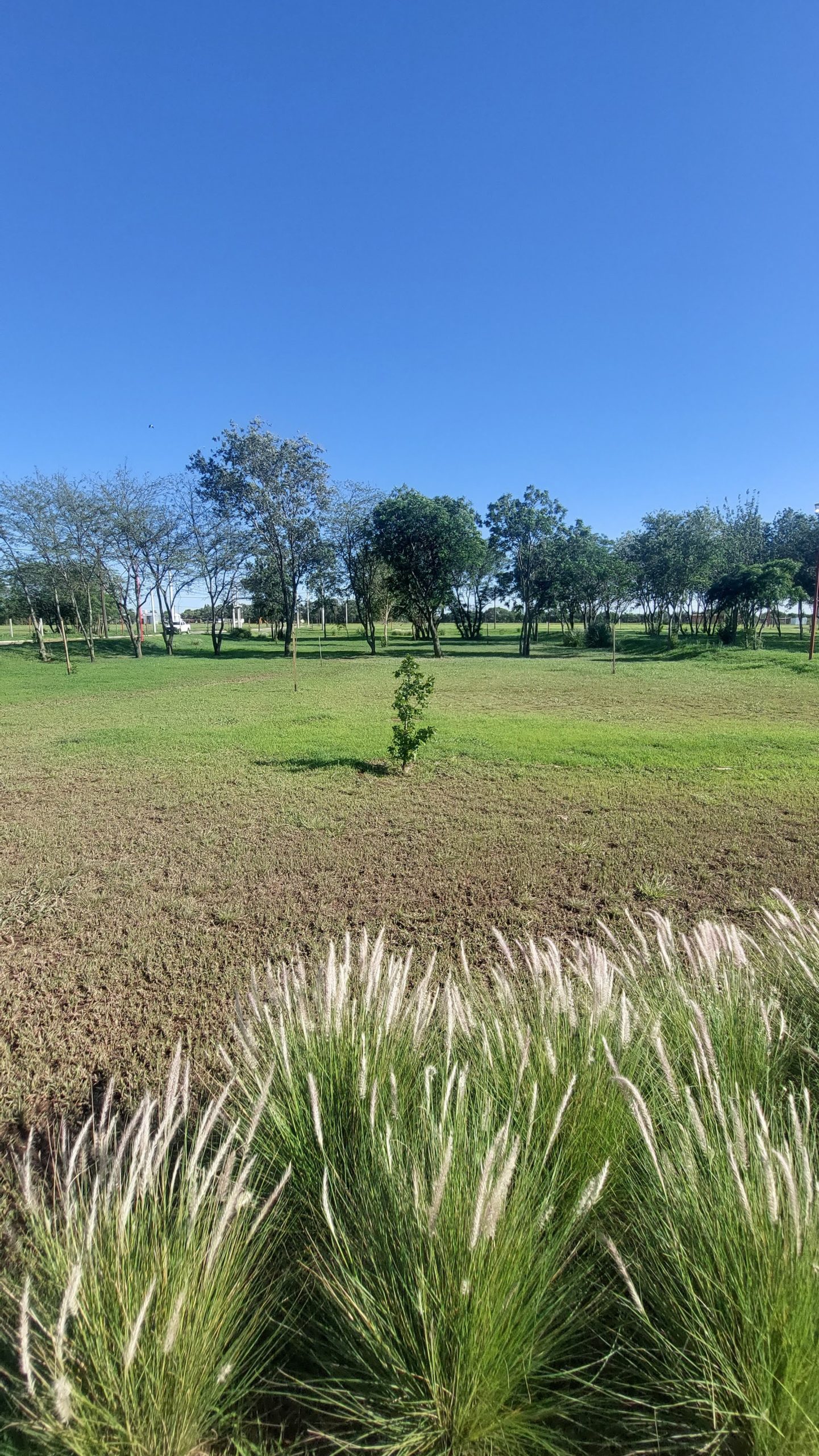 Exclusivo – Loteo – Campos de Lujan – Colonia Tirolesa