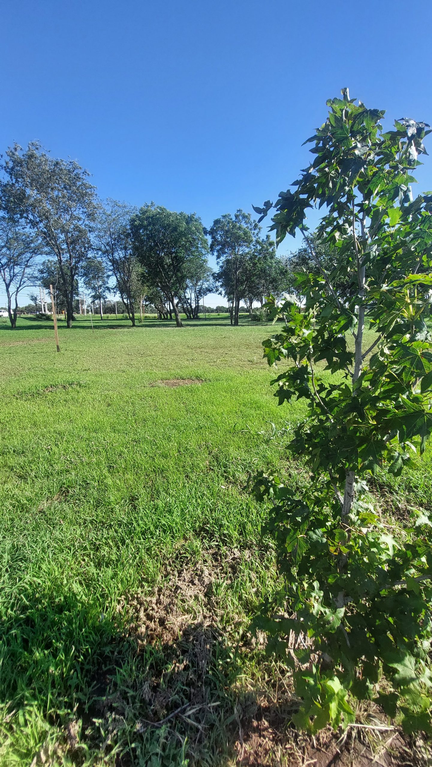 Exclusivo – Loteo – Campos de Lujan – Colonia Tirolesa